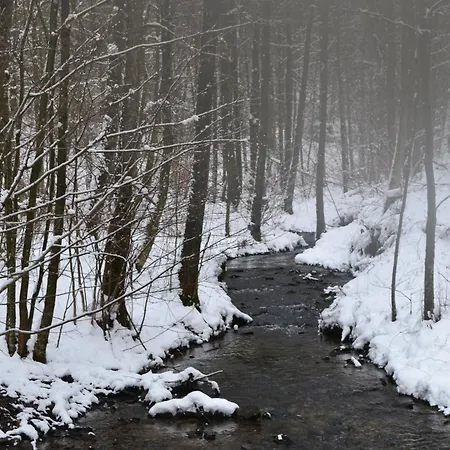 Vakantiehuis La Gernelle Bouillon