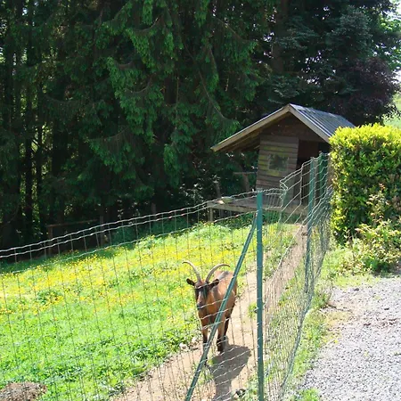 La Gernelle Bouillon