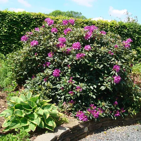 Vakantiehuis La Gernelle *