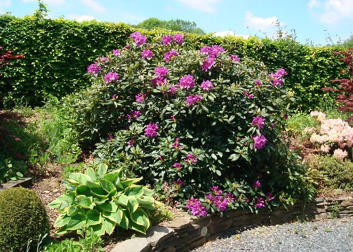 度假居 热尔内勒度假屋 *